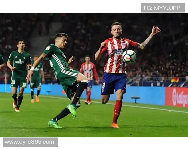 威廉二世与阿尔克的历史对决与影响分析